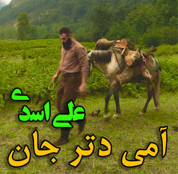 علی اسدی آمی دتر جان